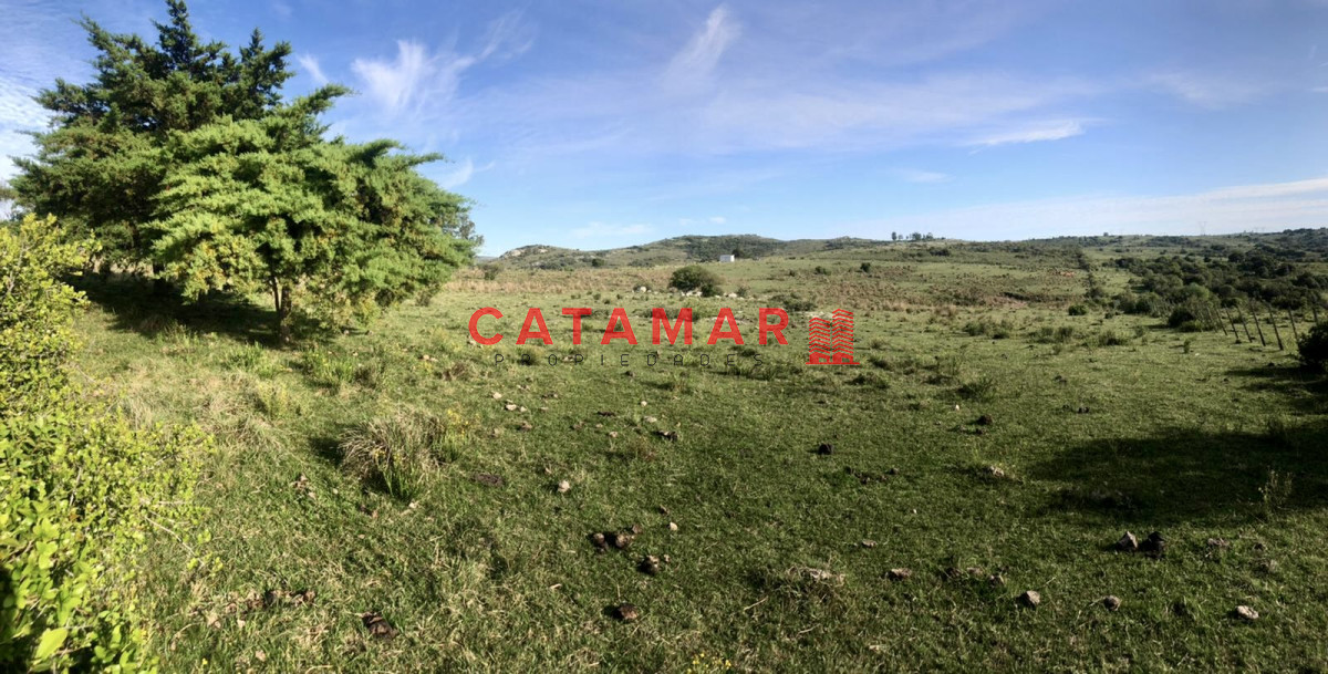Chacra ID.530 - Chacra en venta Las cañas Maldonado 3 hectareas