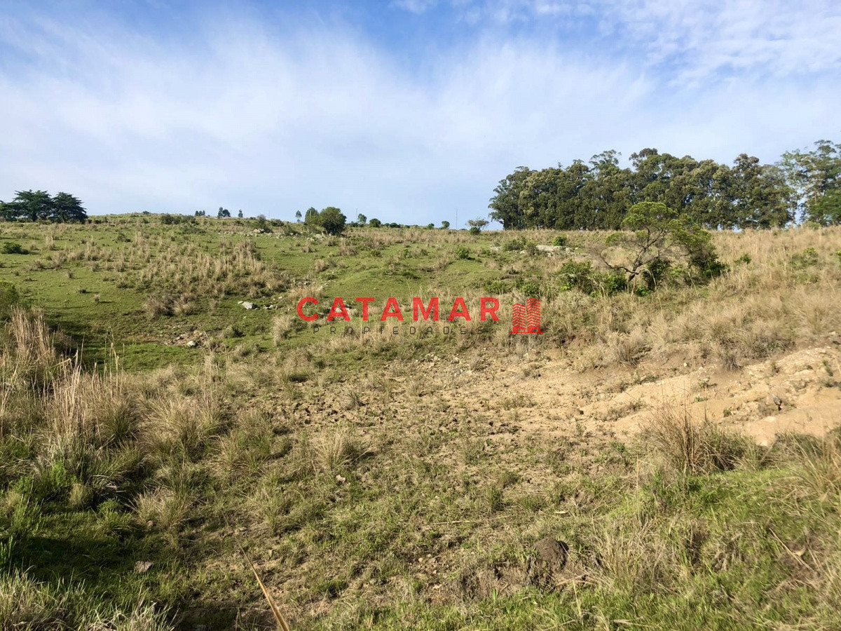 Chacra ID.530 - Chacra en venta Las cañas Maldonado 3 hectareas