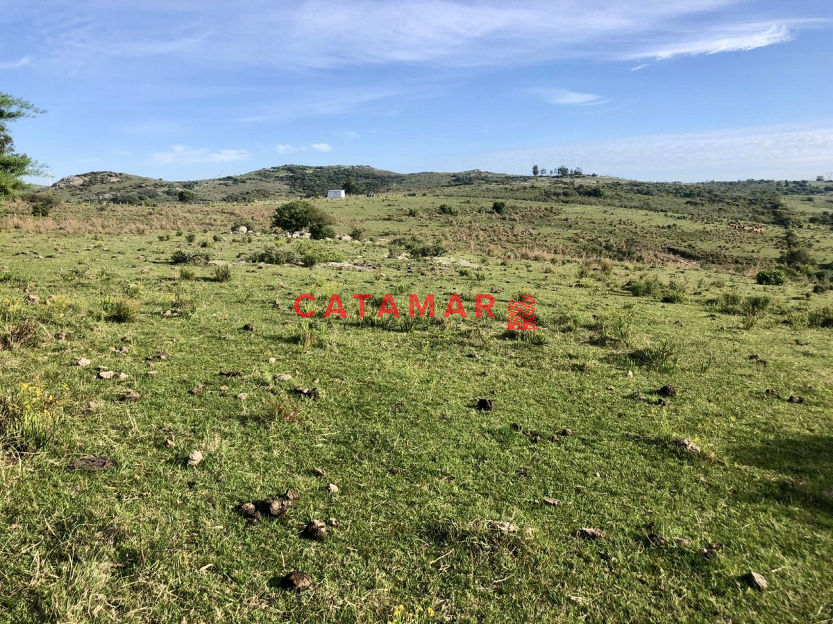 Chacra ID.530 - Chacra en venta Las cañas Maldonado 3 hectareas
