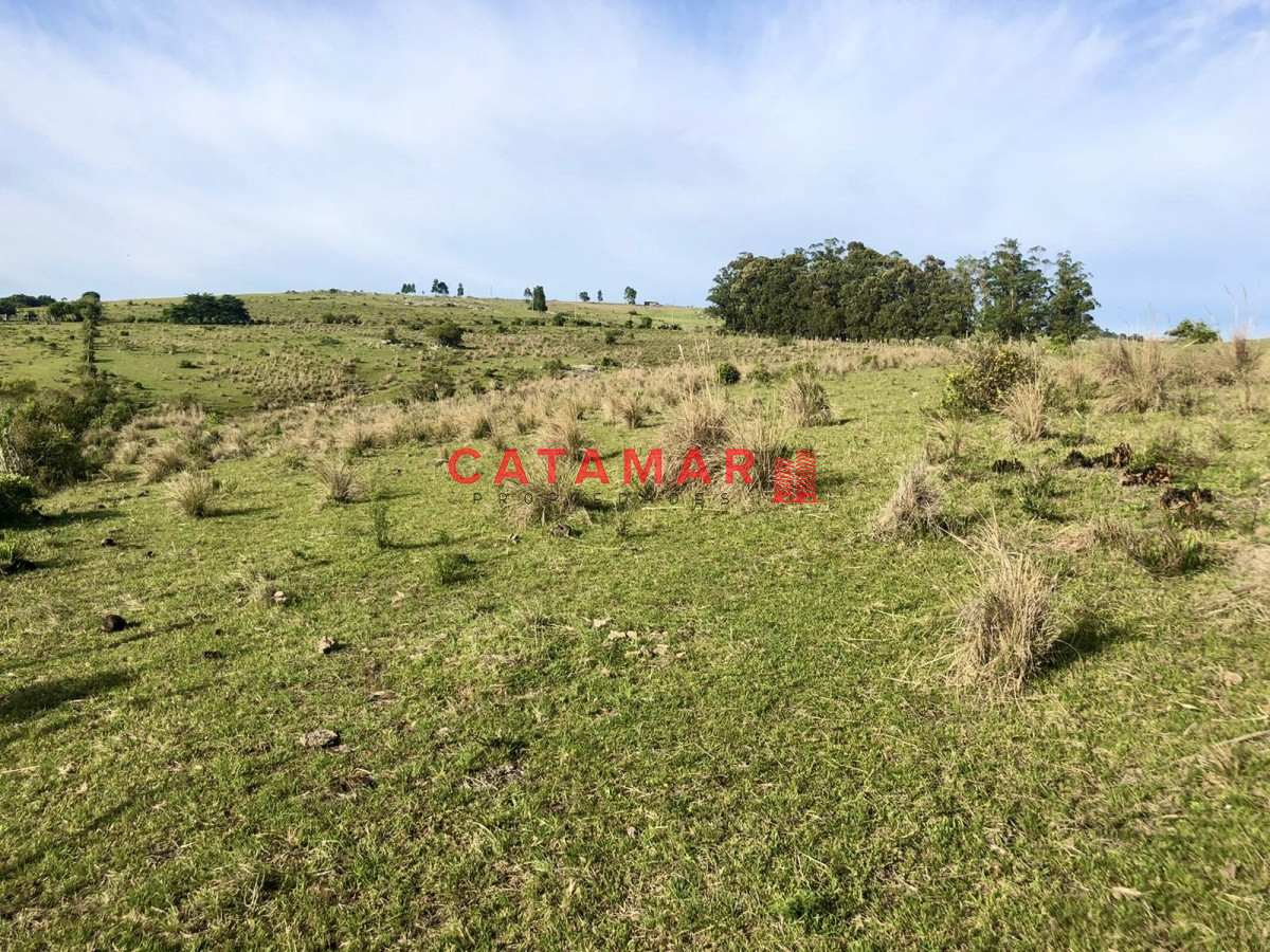 Chacra ID.530 - Chacra en venta Las cañas Maldonado 3 hectareas
