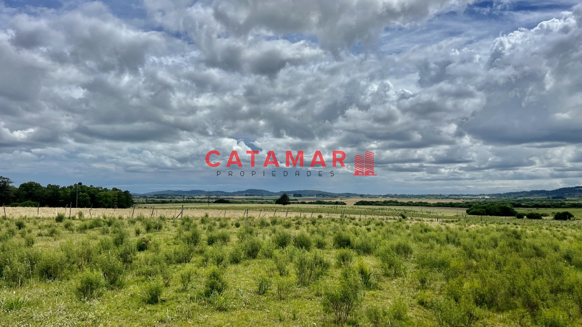 Chacra ID.723 - Chacra en venta camino de los ceibos 7 hectareas y media