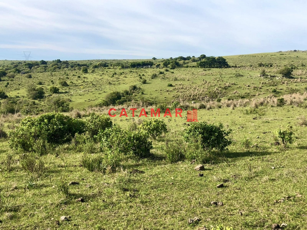 Chacra ID.530 - Chacra en venta Las cañas Maldonado 3 hectareas