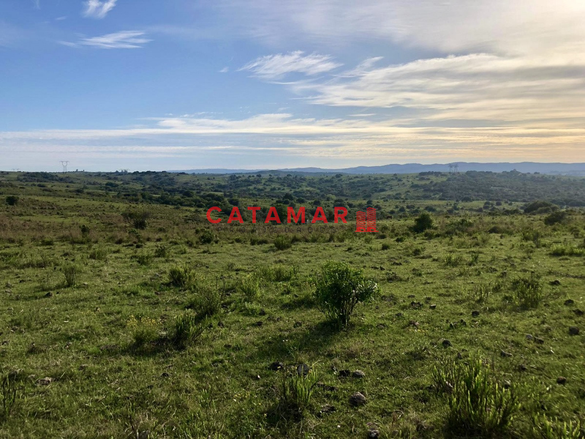 Chacra ID.530 - Chacra en venta Las cañas Maldonado 3 hectareas