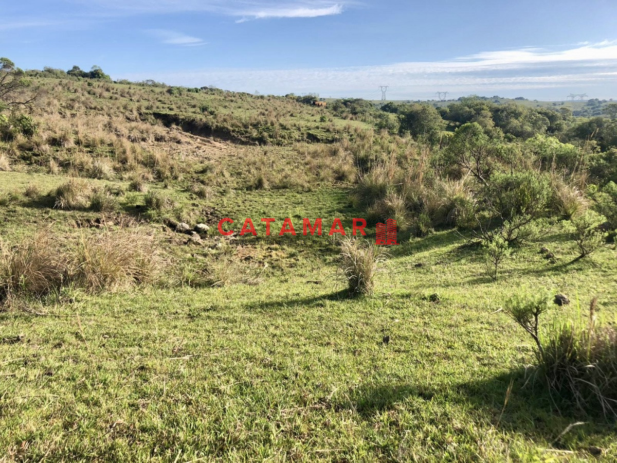 Chacra ID.530 - Chacra en venta Las cañas Maldonado 3 hectareas