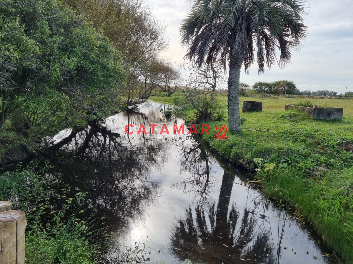 Chacra ID.403 - Venta Chacra con plantación de Cannabis