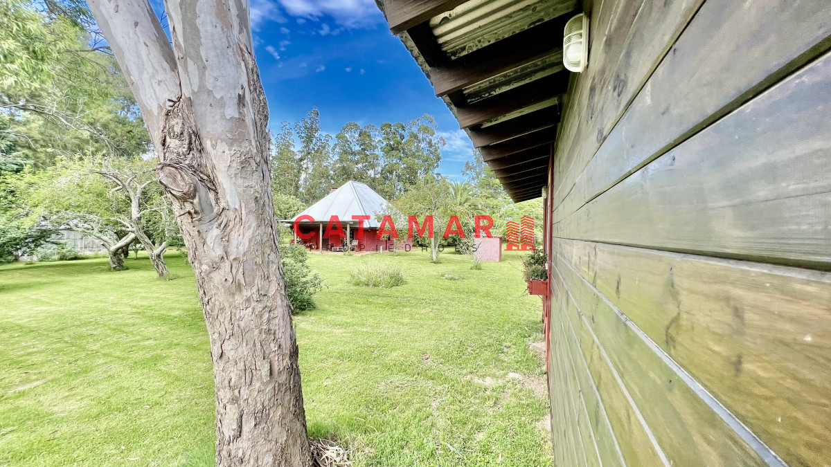 Chacra ID.728 - Espectacular chacra en venta en camino de los ceibos Maldonado