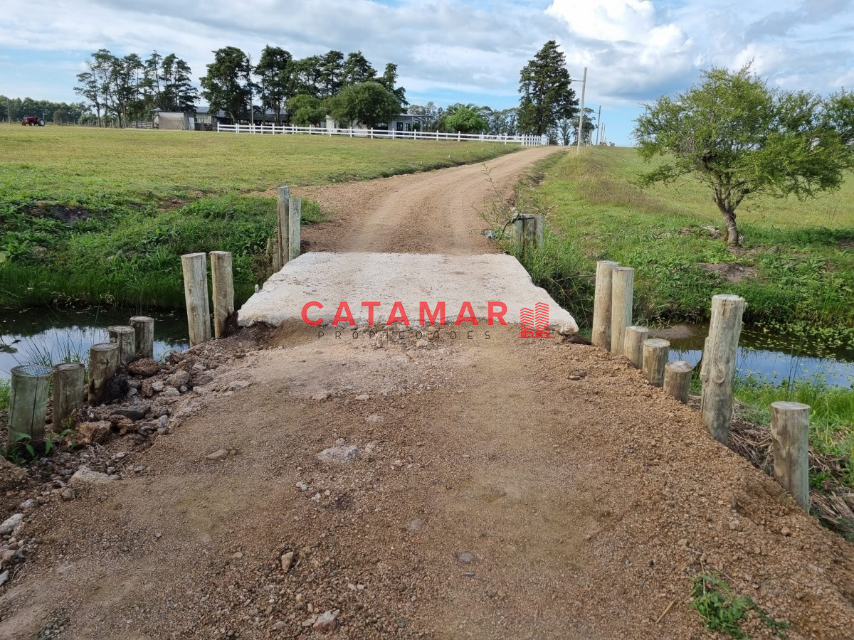 Chacra ID.403 - Venta Chacra con plantación de Cannabis