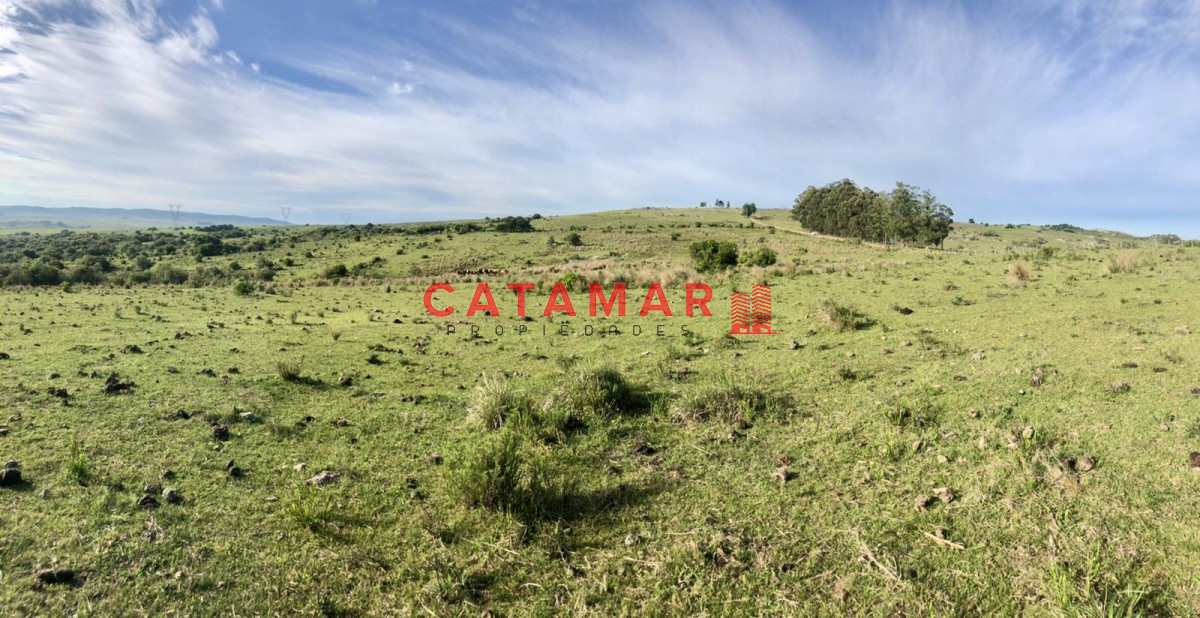 Chacra ID.530 - Chacra en venta Las cañas Maldonado 3 hectareas