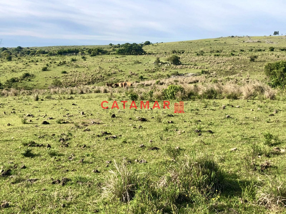 Chacra ID.530 - Chacra en venta Las cañas Maldonado 3 hectareas