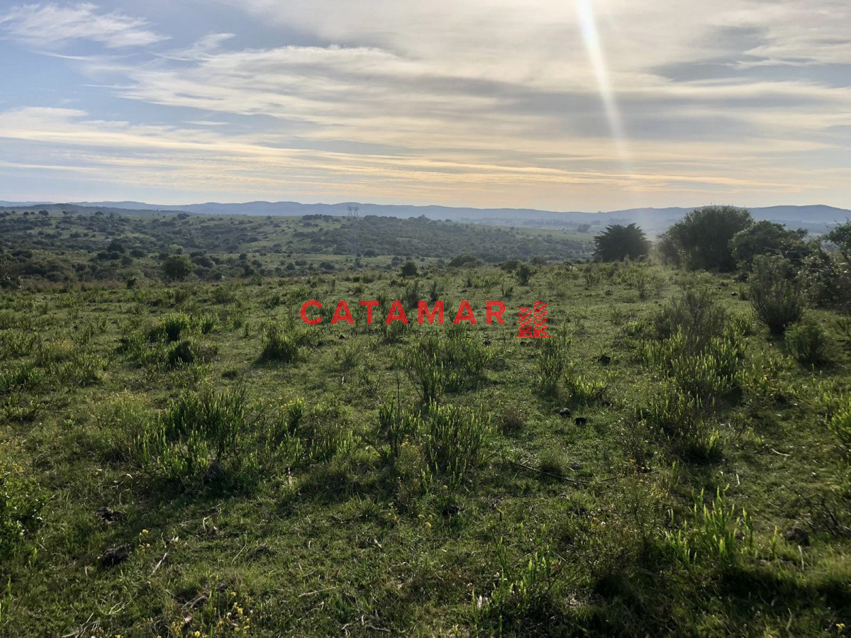 Chacra ID.530 - Chacra en venta Las cañas Maldonado 3 hectareas
