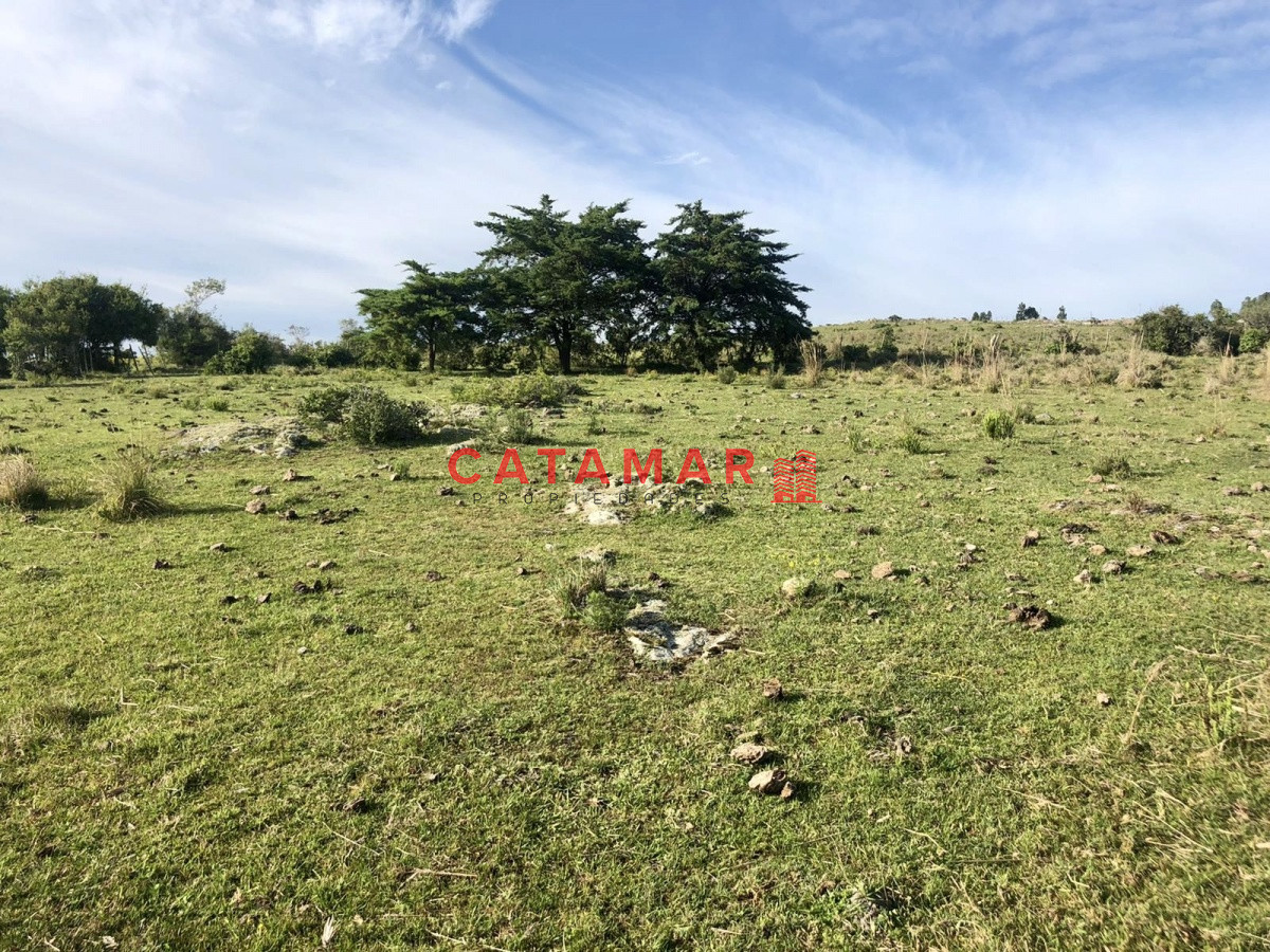 Chacra ID.530 - Chacra en venta Las cañas Maldonado 3 hectareas