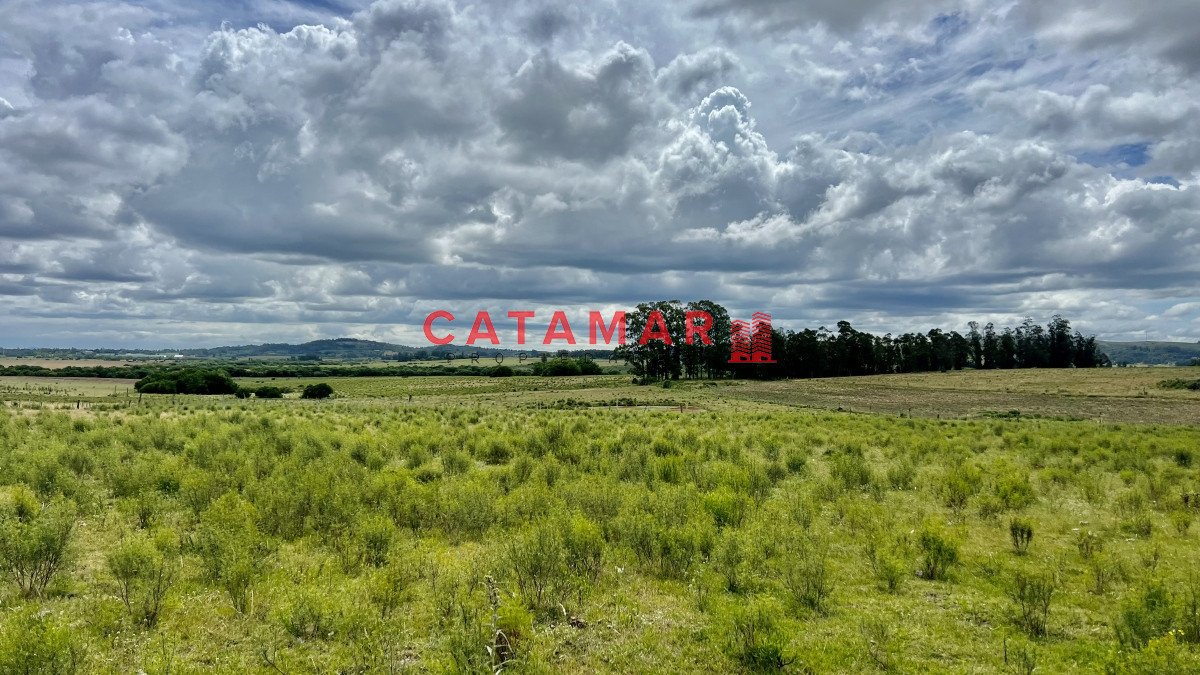 Chacra ID.723 - Chacra en venta camino de los ceibos 7 hectareas y media