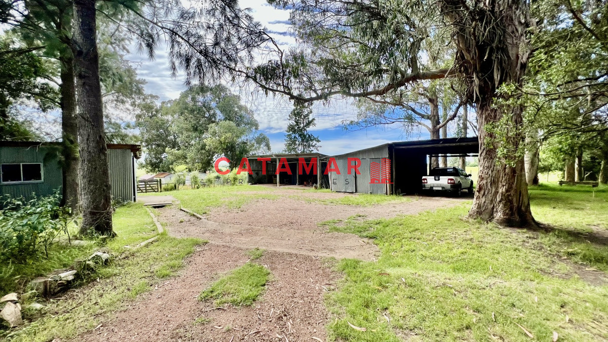 Chacra ID.728 - Espectacular chacra en venta en camino de los ceibos Maldonado