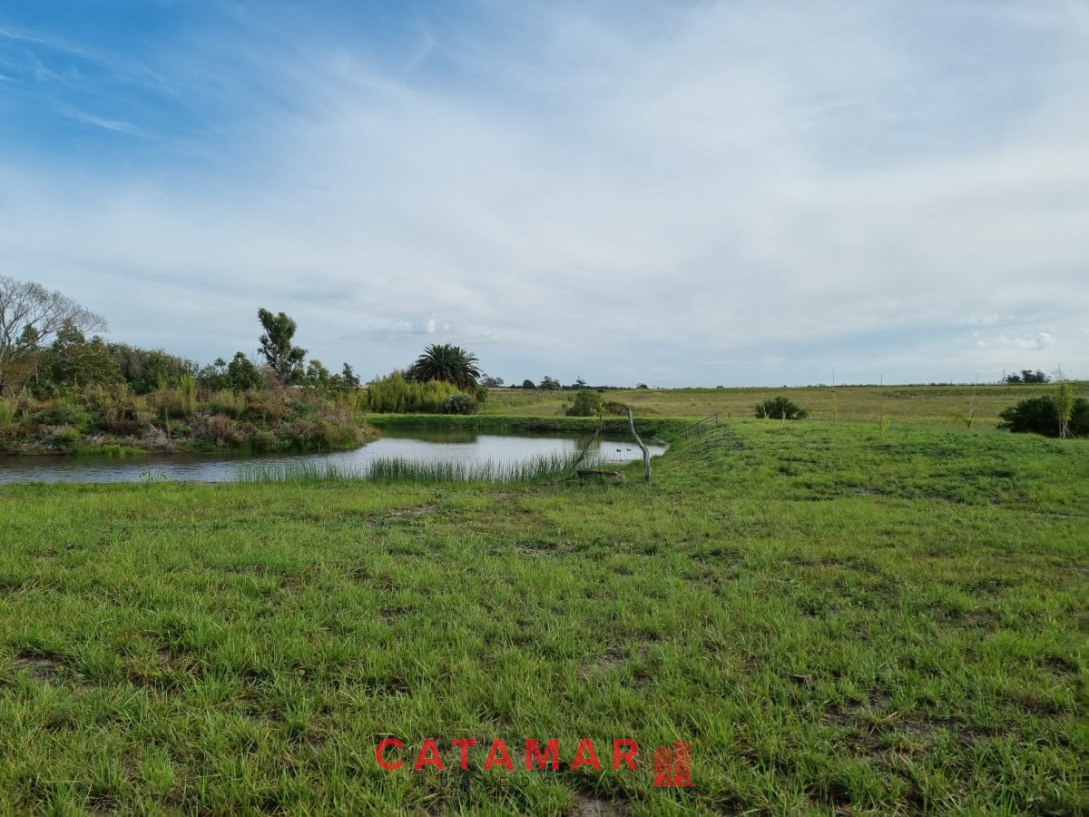 Chacra ID.403 - Venta Chacra con plantación de Cannabis