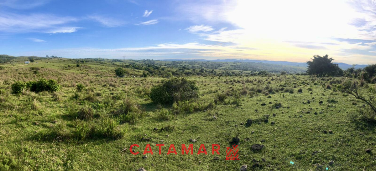 Chacra ID.530 - Chacra en venta Las cañas Maldonado 3 hectareas