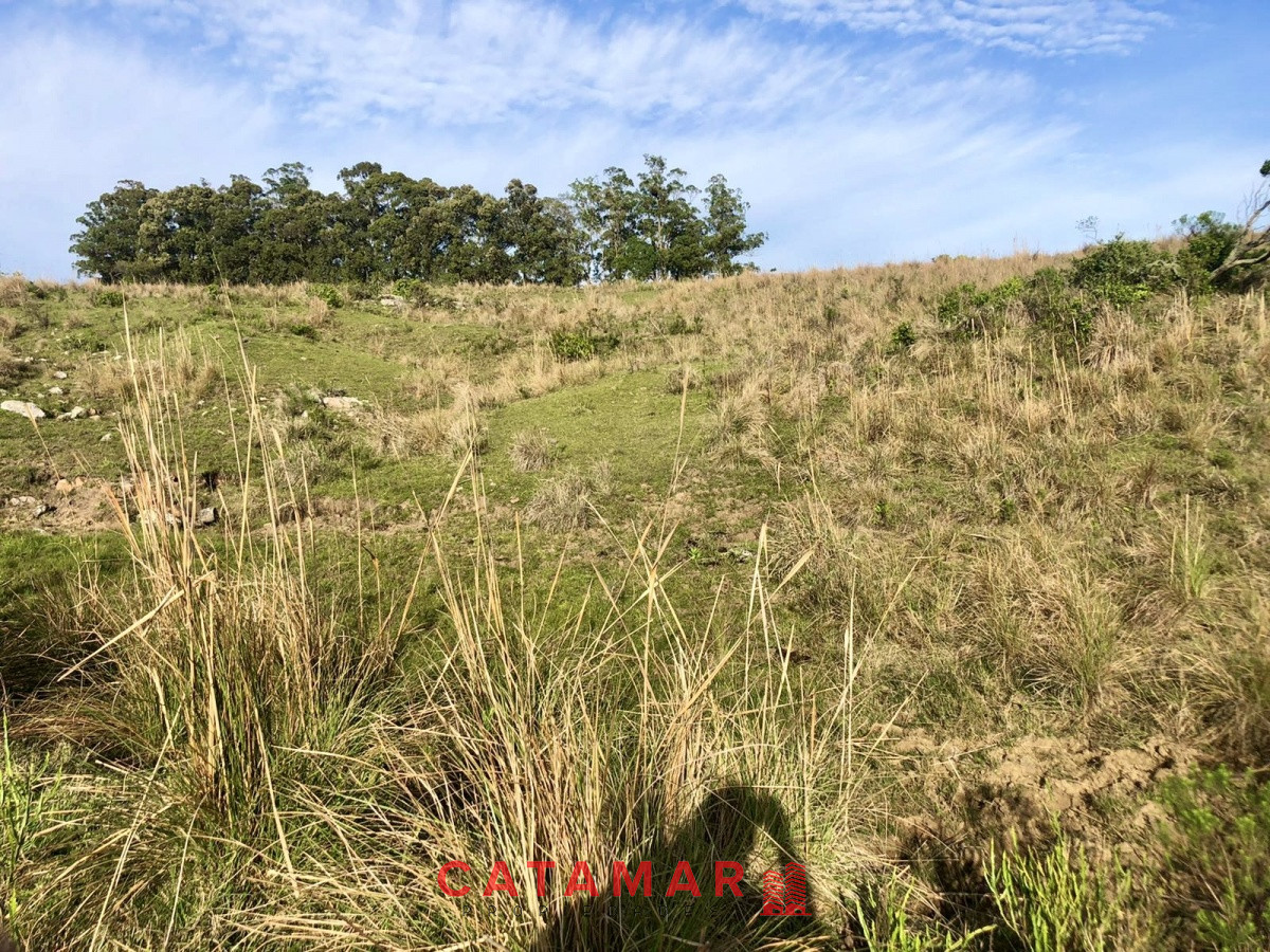 Chacra ID.530 - Chacra en venta Las cañas Maldonado 3 hectareas