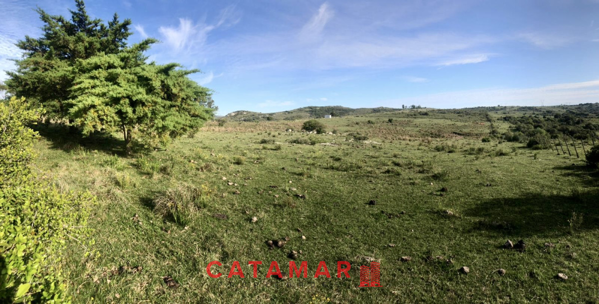 Chacra ID.530 - Chacra en venta Las cañas Maldonado 3 hectareas