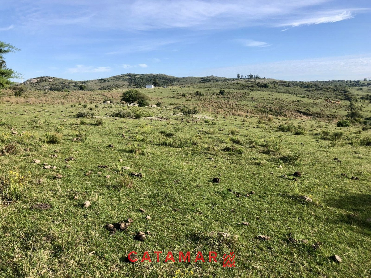 Chacra ID.530 - Chacra en venta Las cañas Maldonado 3 hectareas