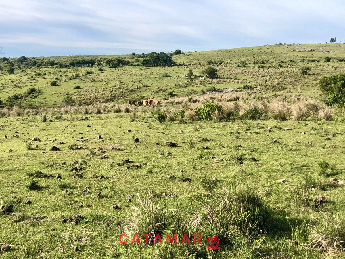 Chacra ID.530 - Chacra en venta Las cañas Maldonado 3 hectareas