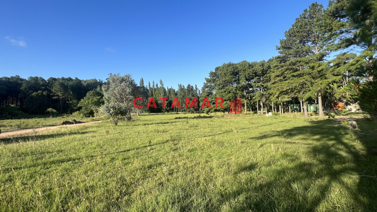 Terreno ID.735 - Venta terreno chacras del pinar 2000m2