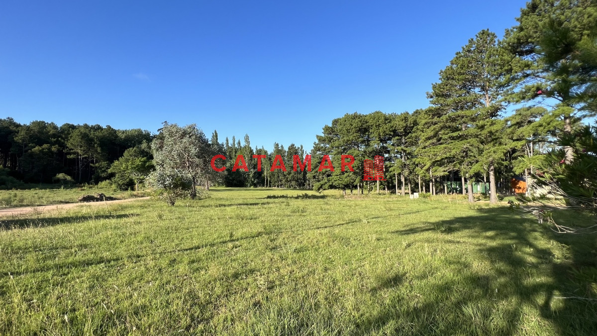 Terreno ID.735 - Venta terreno chacras del pinar 2000m2