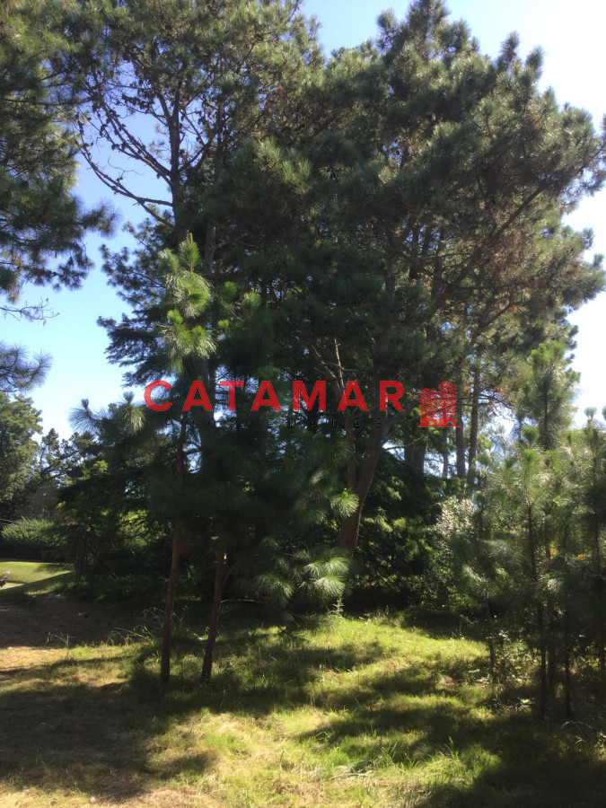 Terreno ID.32 - Venta terreno terreno en el golf