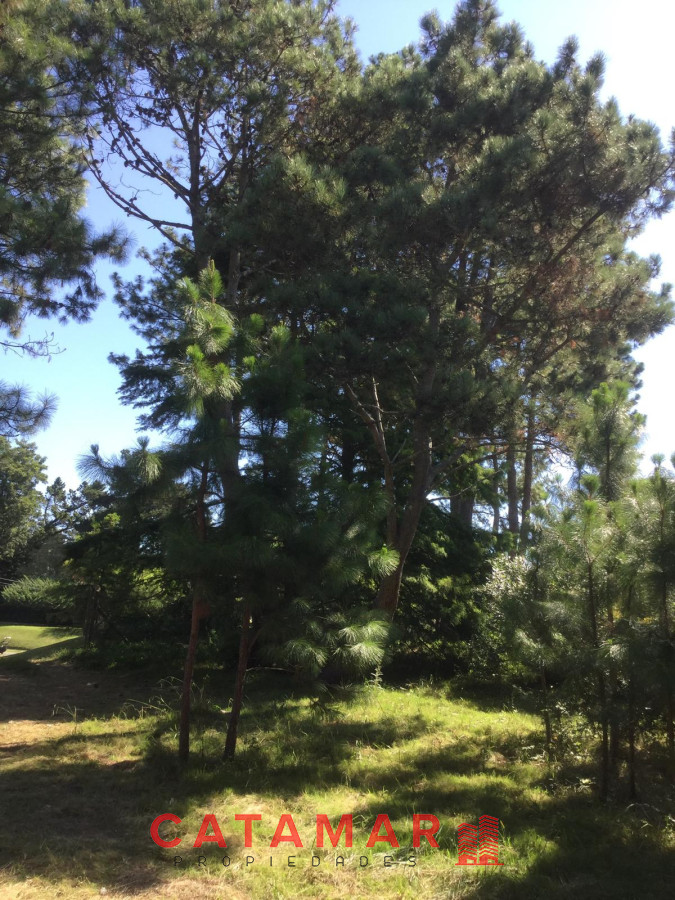 Terreno ID.32 - Venta terreno terreno en el golf