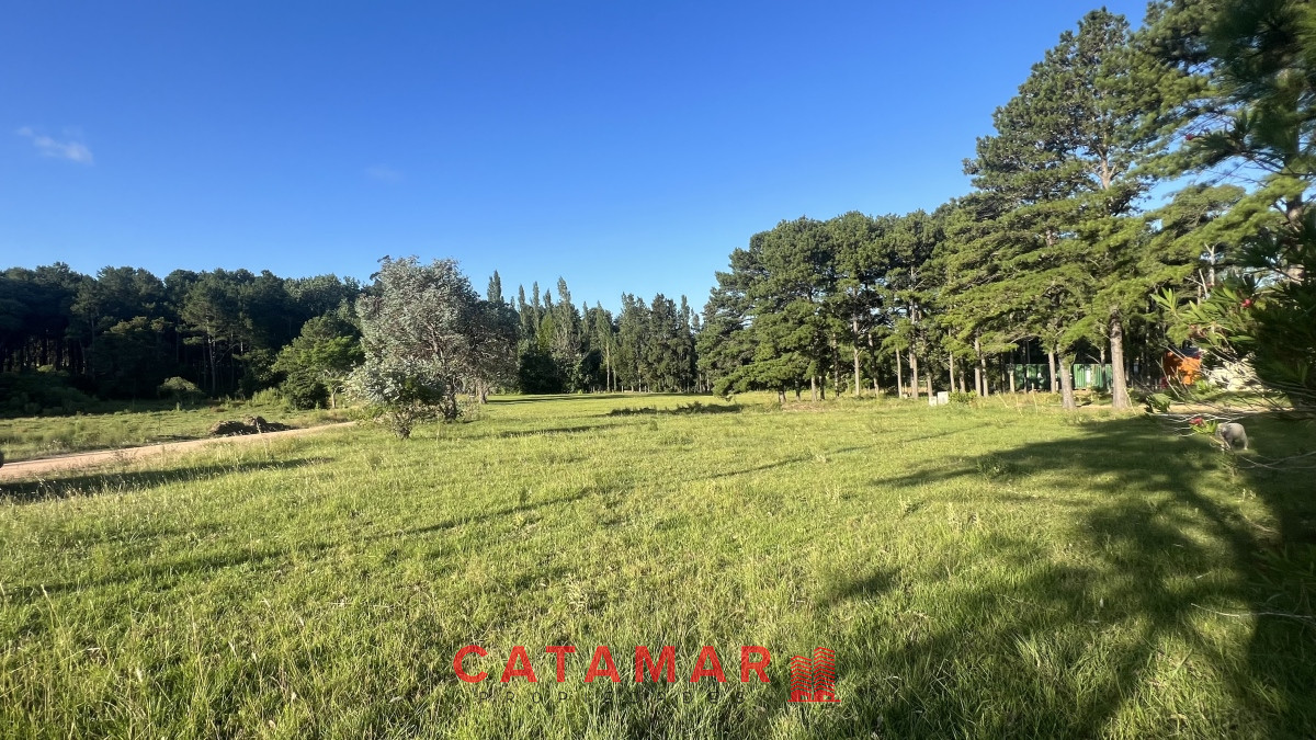 Terreno ID.735 - Venta terreno chacras del pinar 2000m2