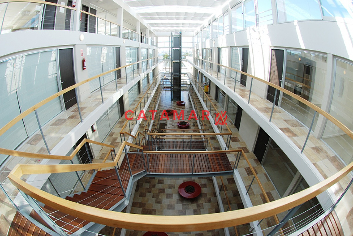 Apartamento ID.514 - Departamento dos dormitorios dos baños Península Punta del Este