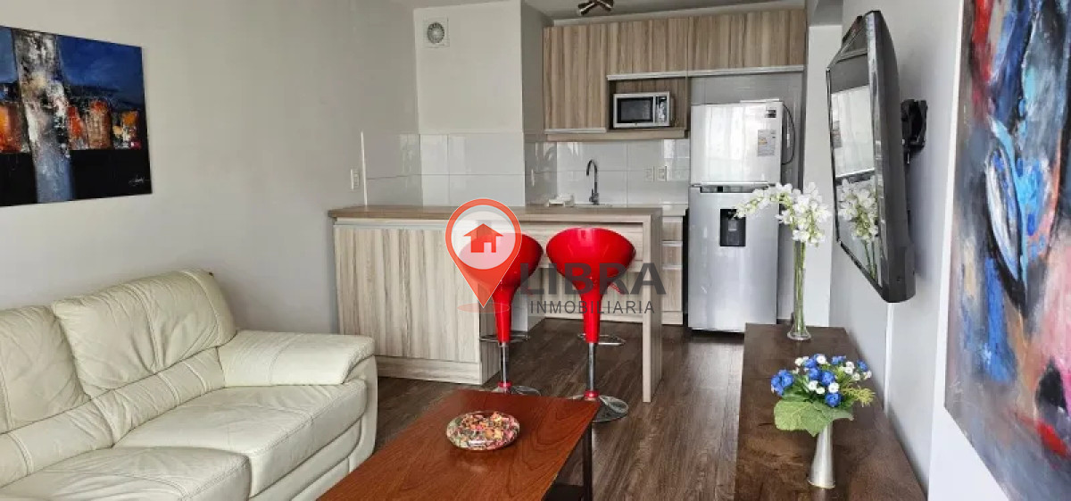 Apartamento ID.10133 - Hermoso Apartamento Amueblado De 1 Dorm En Pocitos 