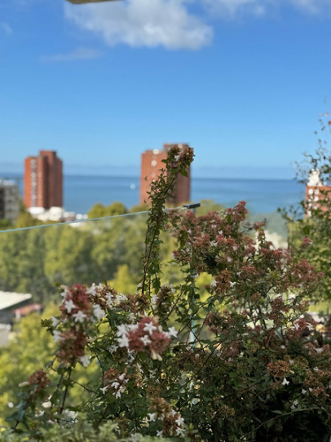 Apartamento ID.10257 - Hermoso Apartamento De 2 Dorm Con Renta