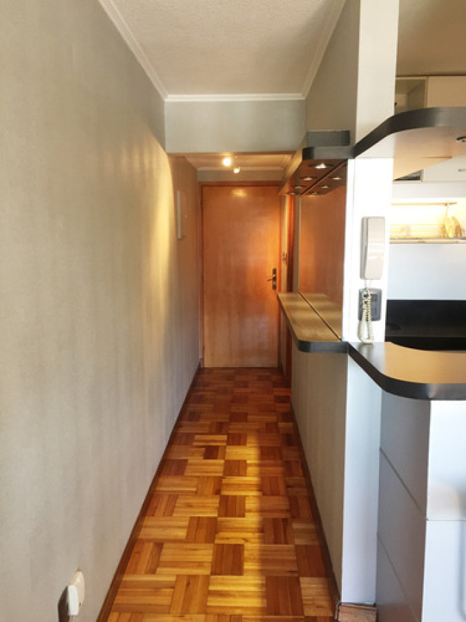 Apartamento ID.11505 - Alquiler monoambiente todo equipado en Rambla de Malvín