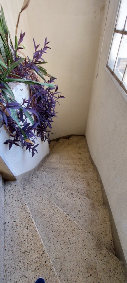 Apartamento ID.11780 - Alquiler Apartamento 2 Dormitorios Azotea En Bella Vista