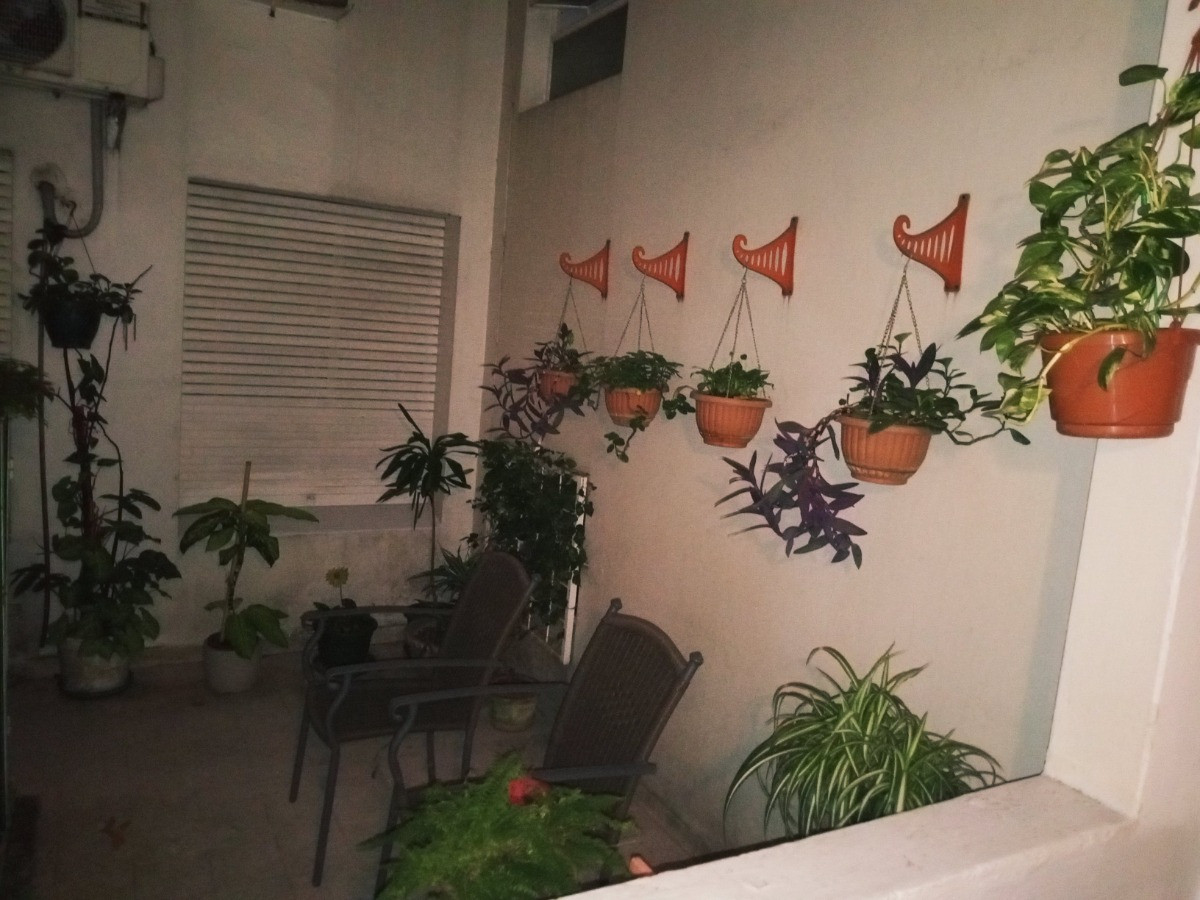 Apartamento ID.13236 - Venta Apartamento Con Renta Semiamoblado 1 Dormitorio Con Patio En Barrio Sur