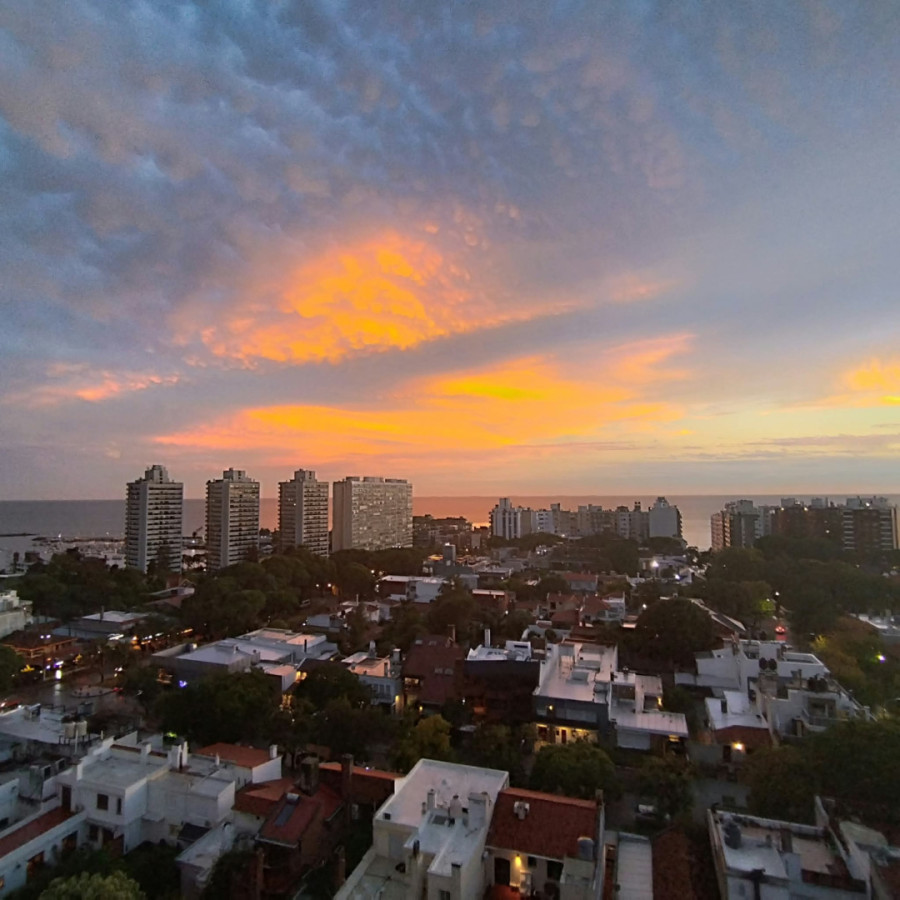 Apartamento ID.13131 - Alquiler Apartamento 1 Dormitorio En Pocitos Nuevo Casi Nuevo