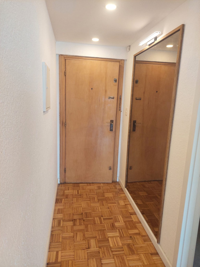 Apartamento ID.9124 - Hermoso Apartamento Amueblado 1 Dormitorio Con Vista Despejada