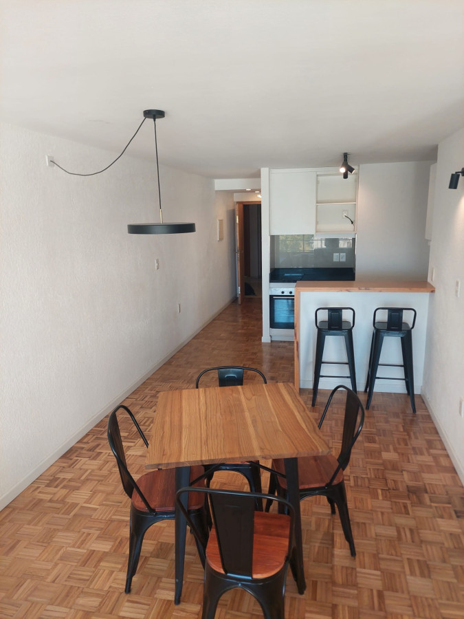 Apartamento ID.9124 - Hermoso Apartamento Amueblado 1 Dormitorio Con Vista Despejada