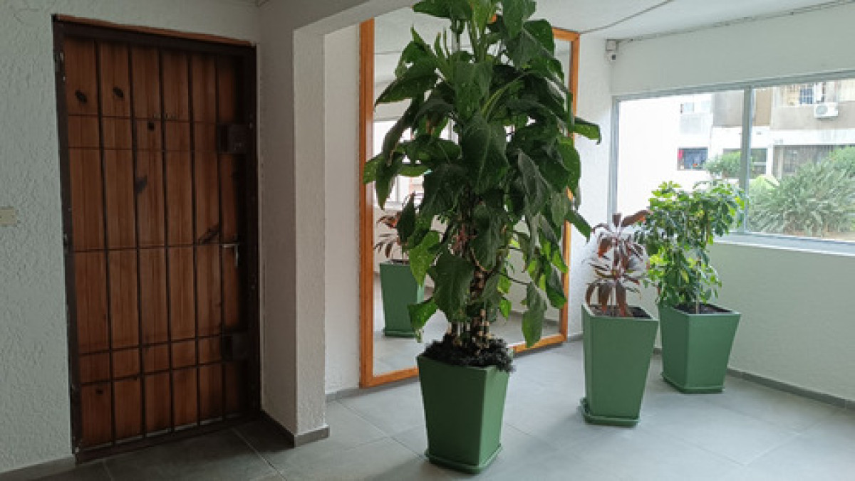 Apartamento ID.9909 - Amplio Apartamento De 3 Dorm En Euskal Erria