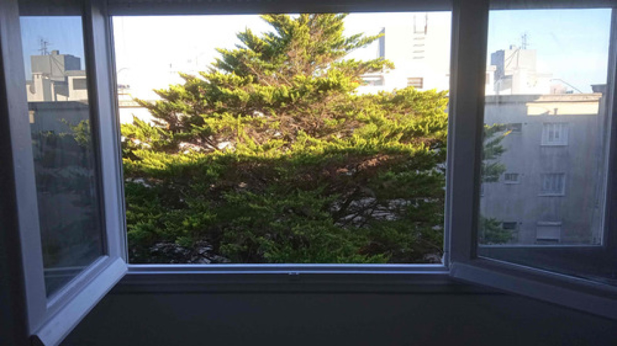 Apartamento ID.11392 - Dueño Alquila - Excelente Apartamento 2 Dormitorios, Muy Comodo Y Seguro. Muy Iluminado Y Ventilado.