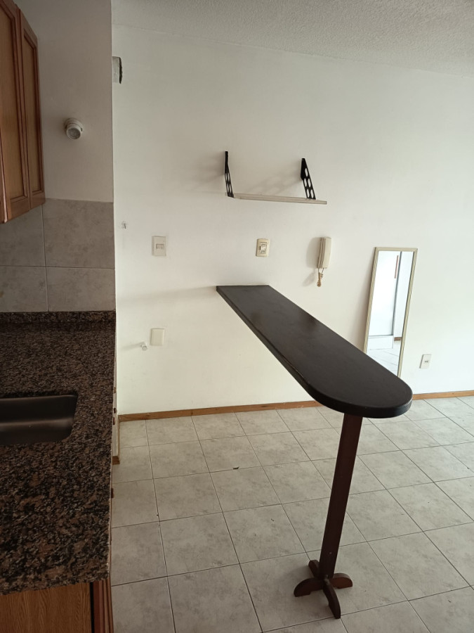 Apartamento ID.3984 - Alquiler Monoambiente Pocitos Av. Brasil Muy Luminoso