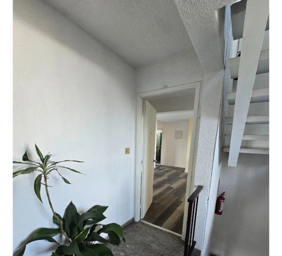 Apartamento ID.11966 - Alquiler de apartamento 3 dormitorios en Buceo