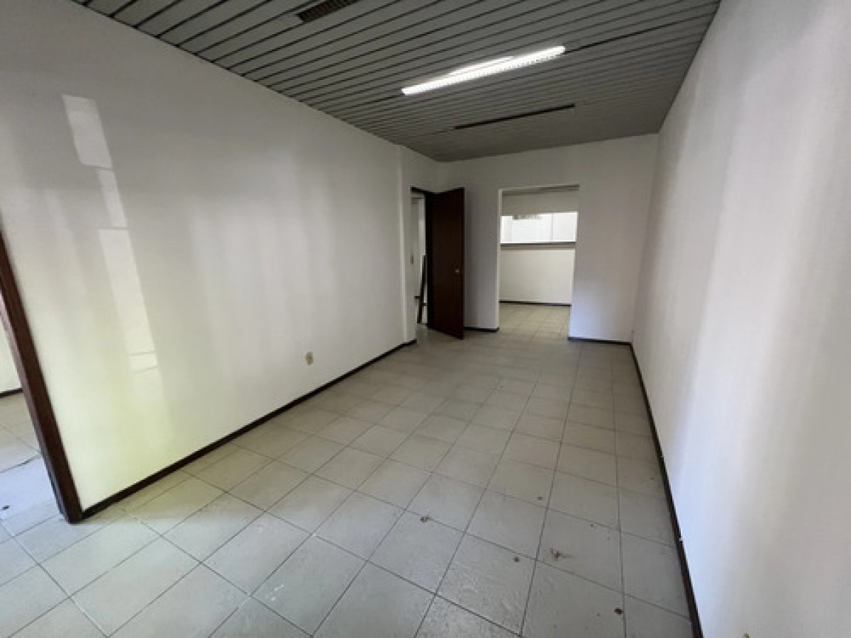 Casa ID.11834 - Alquiler De Casa 2 Dormitorios Excelente En Barrio Sur 