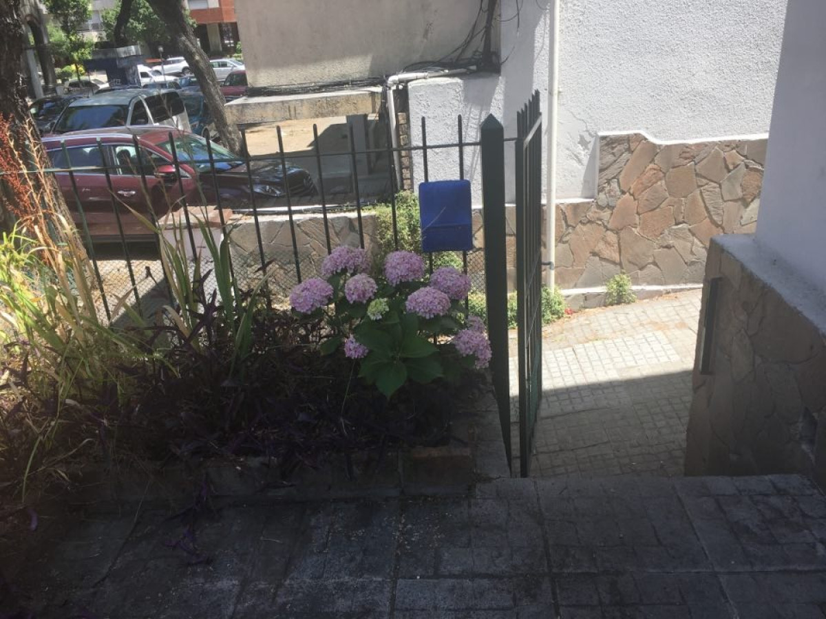 Casa ID.12159 - Alquiler de casa 3 dormitorios en Pocitos