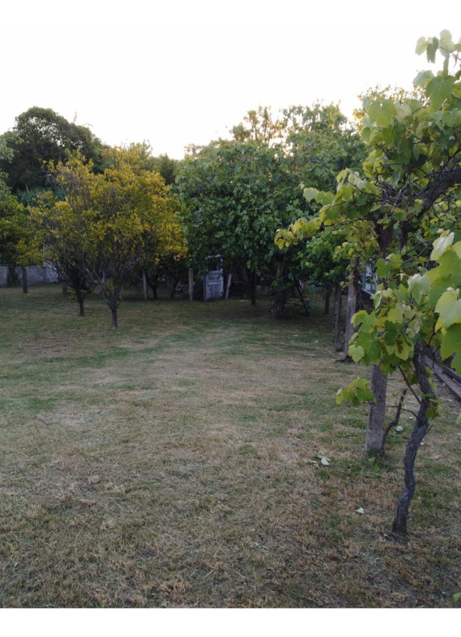 Casa ID.4708 - Excelente Casa De 3 Dormitorios 2 Baños Garaje Para 2 Autos