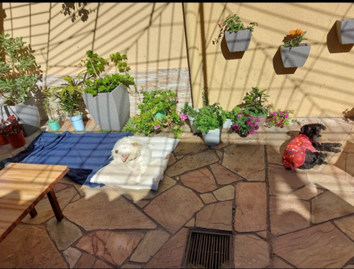 Casa ID.10388 - VENTA CASA 3 DORMITORIOS 2 BAÑOS PATIO PARRILLERO Y GARAJE!