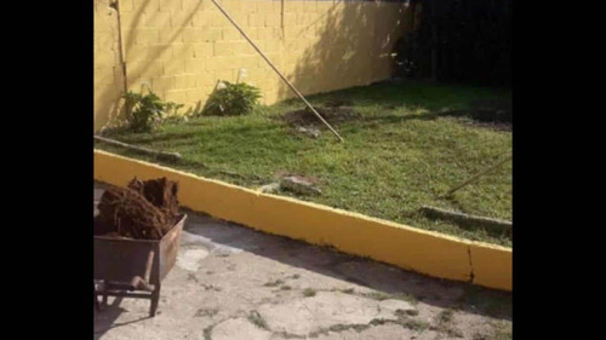 Casa ID.8933 - Venta Casa Con Renta 2 Dormitorios Patio Parrillero Garage En Colón