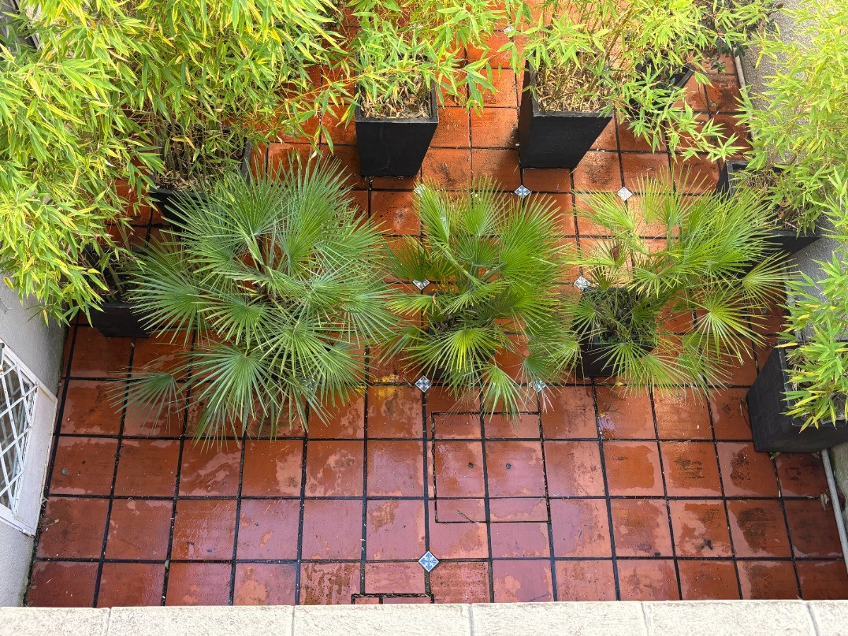 Casa ID.9289 - Alquiler Casa U Oficinas Pocitos-Buceo