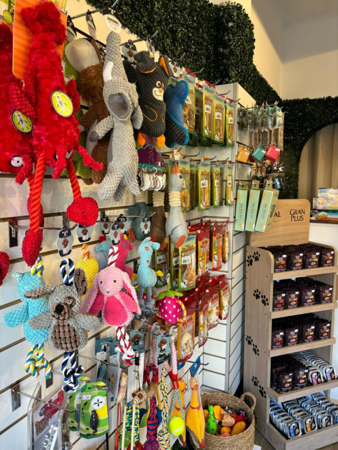 Local Comercial ID.12010 - Alquiler de local comercial en Pocitos