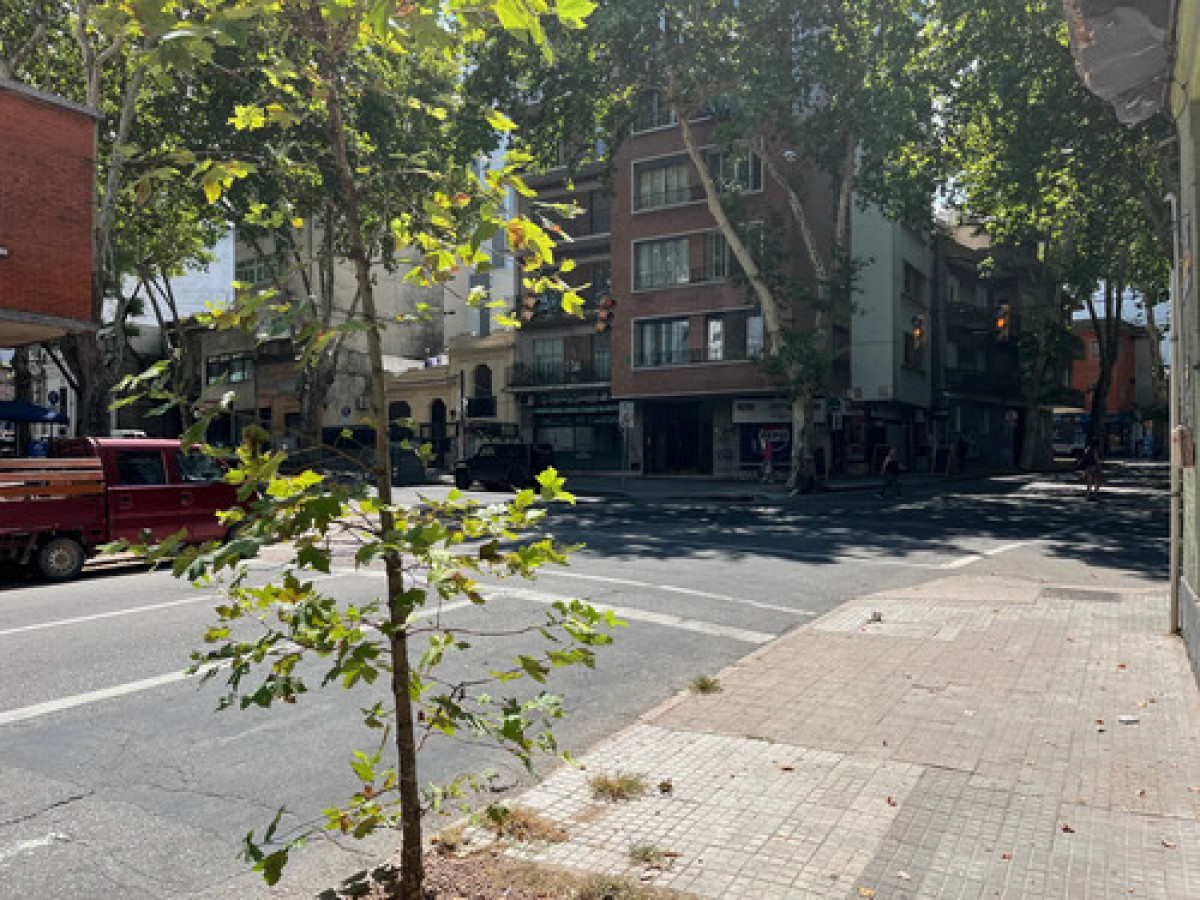 Local Comercial ID.11864 - Alquiler de local comercial en Cordon