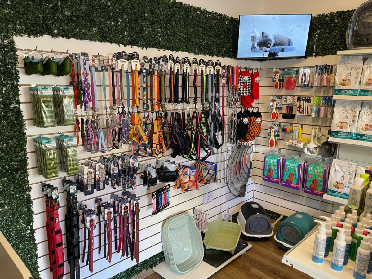 Local Comercial ID.12002 - ALQUILER LOCAL COMERCIAL EN POCITOS 